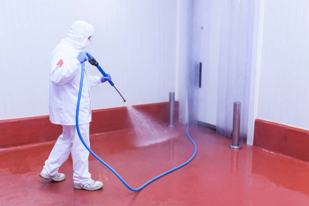 Best Solar Panel Cleaning  in Preakness, NJ